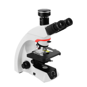 DAPI/GFP/FITC/Mcherry/Texas Red Multichannel Microscope